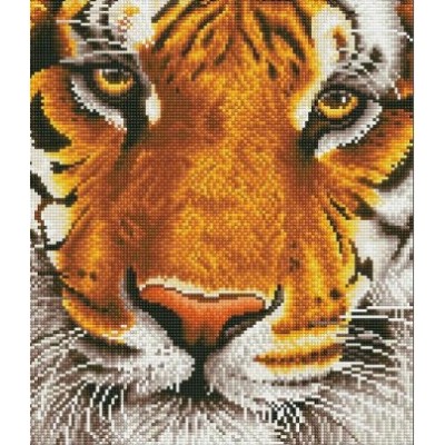 Diamond Art - Tigre Bengal 14,2 x 16,5''